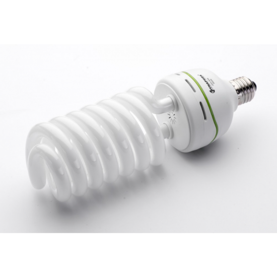 Energy Saving Photo Bulb 85W