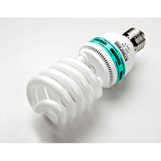Energy Saving Photo Bulb 125W